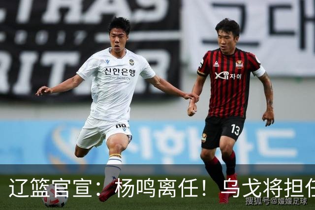 辽篮官宣：杨鸣离任！乌戈将担任辽宁男篮主帅